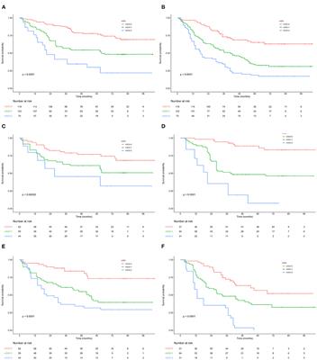 Modified Systemic Inflammation Score Is an Independent Predictor of Long-Term Outcome in Patients Undergoing Surgery for Adenocarcinoma of the Esophagogastric Junction